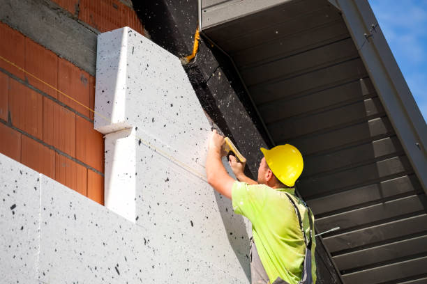 Professional Insulation Services in Bridgeville, DE